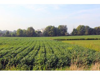 Kosciusko County, Indiana farmland - REAL ESTATE AUCTION - 91+/- ACRES IN 4 TRACTS IN KOSCIUSKO COUNTY, INDIANA